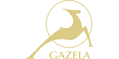 Uvrstitev podjetja RCM d.o.o. med tri nominirance za najboljše hitro rastoče slovensko podjetje v dravsko-pomurski regiji (GAZELA 2013)