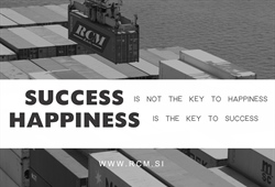 Success is not the key to happiness.