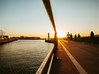 Do you know the types of representation in the freight forwarding business?