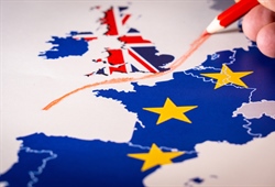 BREXIT - Withdrawal of the United Kingdom from the European Union